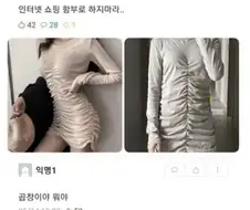 인터넷 쇼핑 함부로 한 언니 jpg.