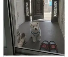 우리집이 최고라는 사람.