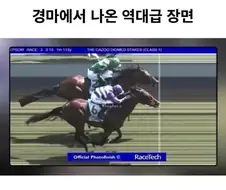 경마에서 나온 역대급 명장면