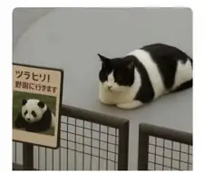 이거 취업 사기 아니냐?