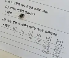 문제에 맞게 답을 가져옴