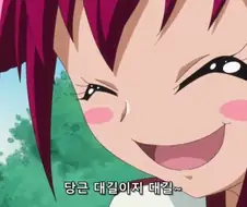 [프리큐어]현지에서도 난리가 났던 에피소드