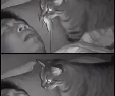 집사를 위한 선물