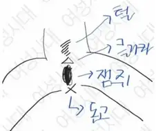 셀프 브라질리언왁싱 후기