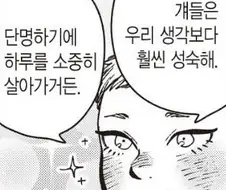 던전밥) 좋은 말 같지만 인종 차별입니다
