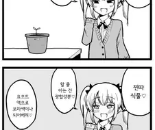 식물이 자라나는 만화