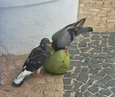 음식을 허겁지겁 먹으면 안되는 이유