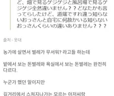 ? : 짜샤, 넌 시골에 사는데 벌레가 무섭냐?