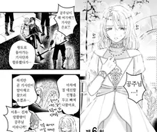 납치된 기사단장을 구하기 위해 적진에 뛰어든 공주님.manhwa