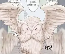 은혜 갚은 부엉이 만화