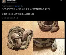 운동 신경이 안 좋은 뱀