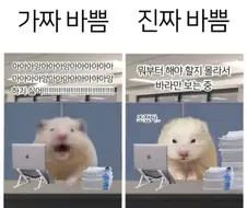 가짜바쁨 진짜바쁨