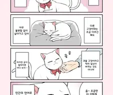 꼬리 두개인 요괴와 동거하는 만화