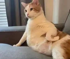 오빠는 항상 그런식이야