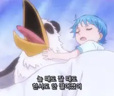 원피스 고대원시의 조이보이