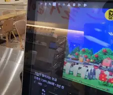 카공족 퇴치제