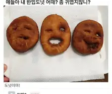 한입 도나스 만들었는데 평가 좀 jpg.