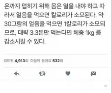 얼음 다이어트의 효과