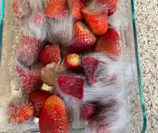 이러면 못 먹음?
