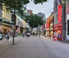 코로나 한창 때 명동 거리