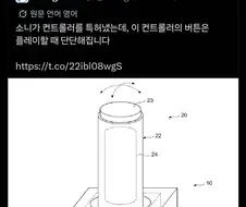 소니에게 ㅈㄲㅈ를 뺏긴 사람