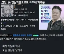 많이 민감한 디씨 개발자