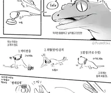 도마뱀 키우는 만화