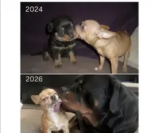 너무 커져버린 동생.jpg