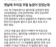 아빠 : 아씨 진짠데 왜 안믿지
