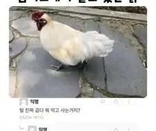 " 등록금을 마시는 새 "