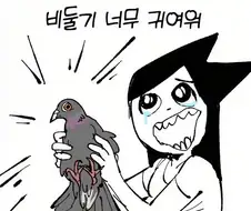 비둘기가 너무 귀여운 manhwa