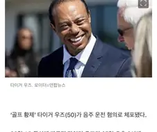 타이거 우즈, 음주 운전 혐의 체포…차량 전복사고
