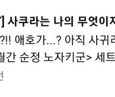 공식이 음해하는 월간순정 노자키군 히로인