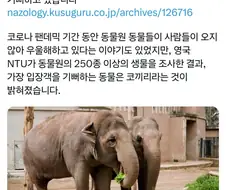 의외로 사람 보는 걸 좋아하는 동물