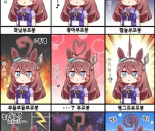 [말딸] 부르봉의 바보털 분류법