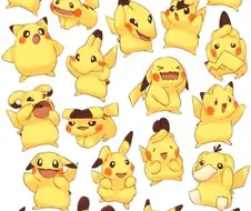 재능충 지우피카츄