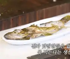 생선 눈알 이맛있는걸 왜 아무도 안먹지..