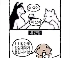 내또래들 특