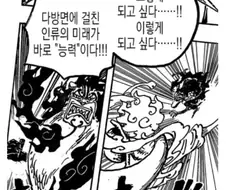 원피스) 드디어 밝혀진 악마의열매 비밀