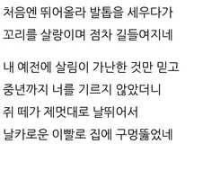 고려시대 ㅈ냥이 구박하기
