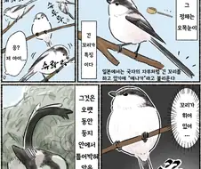 번역) 오목눈이 만화