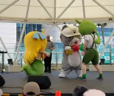 즌다몬이랑 현장냥이 그리고 사신짱이 싸우는 짤