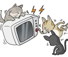 사람들이 잘못알고 있는 미국의 도시전설