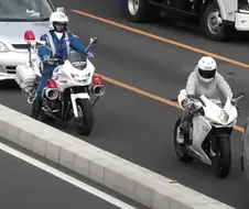 세상에서 가장 운전 얌전하게 하는 오토바이 운전자