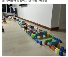 애들한테 뭐든 경험시켜줘라.jpg