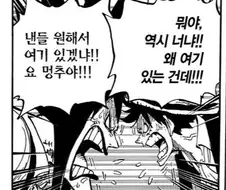 원피스) 시저와 버기의 차이