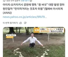 독버섯이 이렇게 피었습니다 포즈가 밈이 되어버리고 말았다