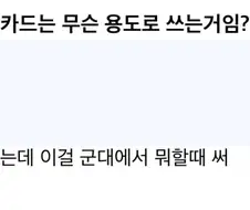 “나라사랑 카드는 어따 쓰는거야?”.jpg