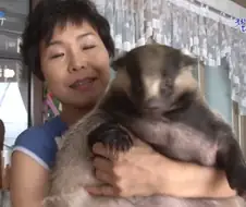 집에서 키운 오소리