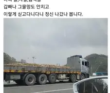 휴게소에서 발견한 최악의 트럭기사
